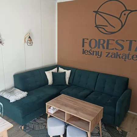 Дом отдыха Foresta Lesny Zakatek