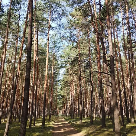 Foresta Lesny Zakatek Braszczok